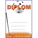 DF01a Diplom florbal