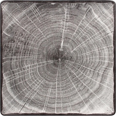 RAK Porcelain Woodart tanier štvorcový 30 x 30 cm sivá WDEDSQ30BG-6
