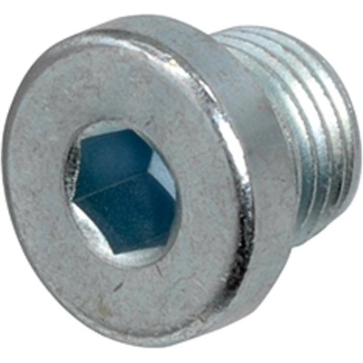 Zátka IMBUS s nákružkem a metrickým závitem DIN 908 M14x1.5 DIN 908 ZB – Zbozi.Blesk.cz