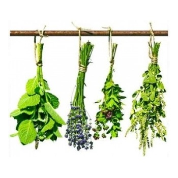 DIMEX ART s. r. o Флизелинов фототапет билки 150 x 250 см