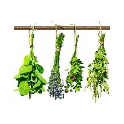 DIMEX ART Флизелинов фототапет билки 150 x 250 см