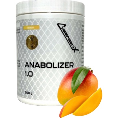 Cybergenix ANABOLIZER 1.0 500 g