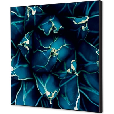 Jansen Display Textilní dekorace na zeď 40 x 40 Cactus modrá, 400 x 400 mm