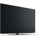 Loewe We. See 48" TV