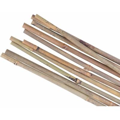 STREND PRO Tyč oporná bambusová 1500mm