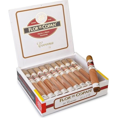 Flor de Copan Corona 20 ks