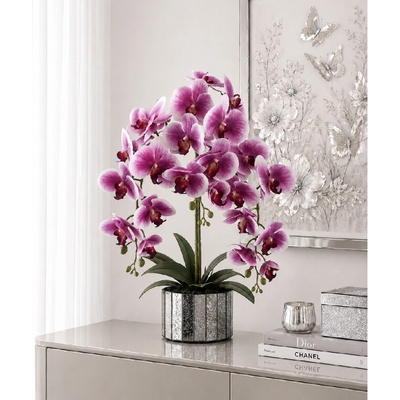 Orchidea v zrkadlovom črepníku