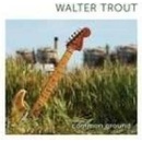 TROUT WALTER: COMMON GROUND CD