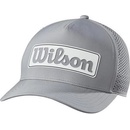 Wilson Performance šedá