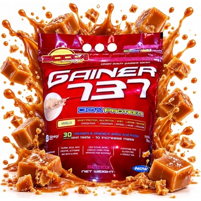 Megabol Gainer 737 3000 g