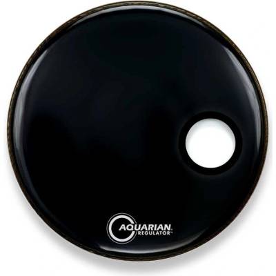 Aquarian RSM 22
