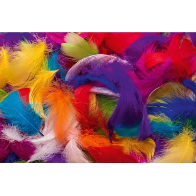 DIMEX ART Флизелинов фототапет цветни пера 375 x 250 см