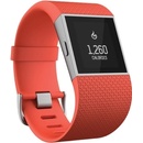 Fitbit Surge Large