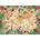 Gibsons - Puzzle World of Life - 1 000 piese