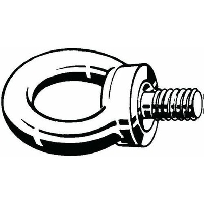 Zvedací šroub s okem, značení CE DIN 580 Nerezocel A2 kovaný M6 – Zbozi.Blesk.cz