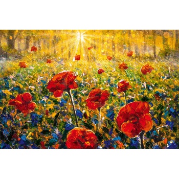 DIMEX ART Флизелинов фототапет картина - макове 375 x 250 см