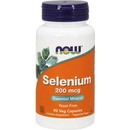 Now Selenium 90 kapsúl