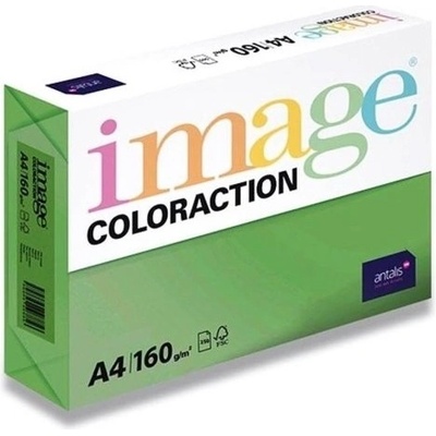 Papír xer Image Coloraction A4 160 g sytá zelená/Dublin