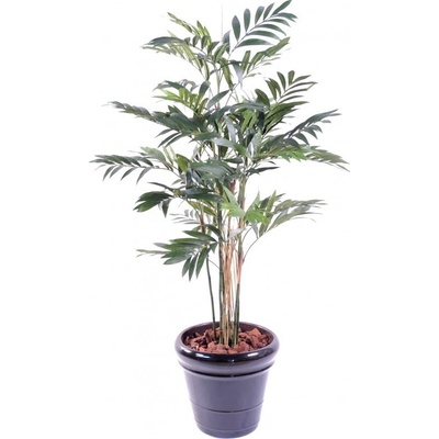 Umělá palma Parlour Wide, 145cm
