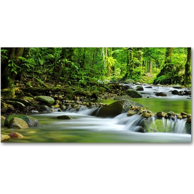 Foto obraz fotografie na skle horský potok 100x50 cm