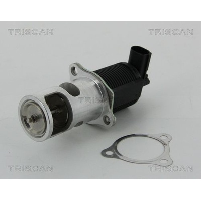 AGR-Ventil TRISCAN 8813 25038