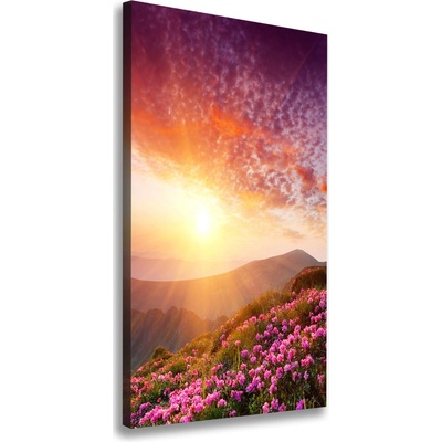 Vertikálny foto obraz na plátne Jarno v horách 50x100 cm