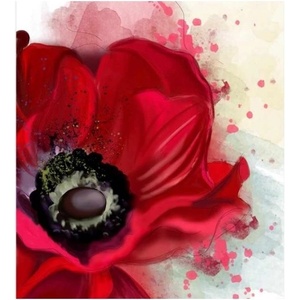 DIMEX ART Флизелинов фототапет мак 225 x 250 см