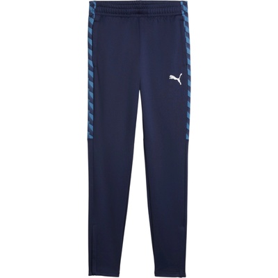 Puma teamLIGA26 Training Pants Kids modrá