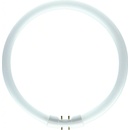 Philips kruhová Master TL5 Circular 40W/830 2GX13 Teplá bílá