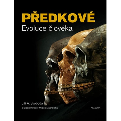 Předkové. Evoluce člověka