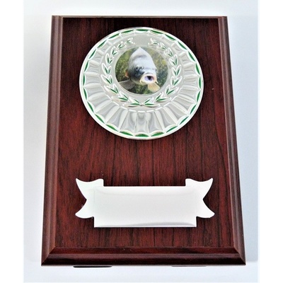 VIZINGR Ryba plaketa H122-G15-G351-L221 H122-G15-G351-L221/15 cm
