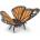 Papo Butterfly