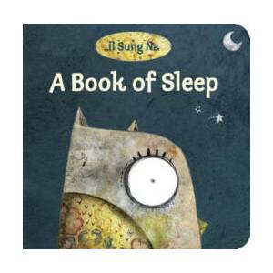 Book of Sleep | Il Sung Na (ISBN: 9780375866180)