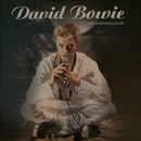 David Bowie: Liveandwell.com LTD LP