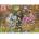 Clementoni Mordillo The Kiss High Quality puzzle 6000pcs