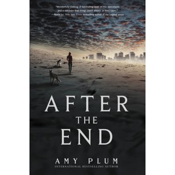 After the End | Amy Plum