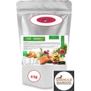 Bardog Salmon Potato 56 4 Kg
