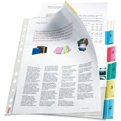 Джоб с перфорация Esselte А4 85 мик 6 бр (1303378-414160)