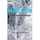 Náledí