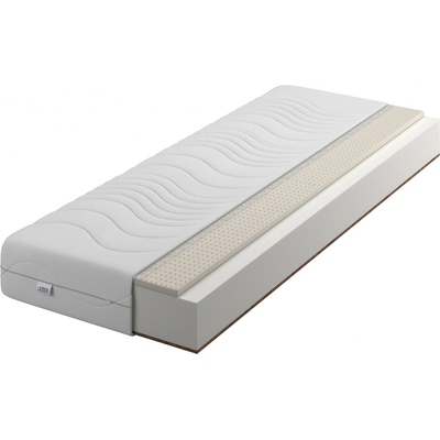 IZER Comfort + Latex + Kokos