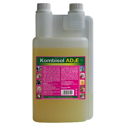 Kombisol AD3E 1000ml
