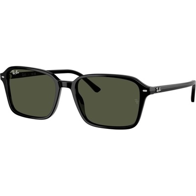 Ray-Ban RB2231 901/31
