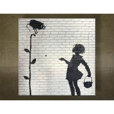 Obraz na plátne Street ART – Banksy - 30x30 cm