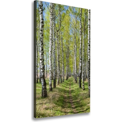 Vertikálny foto obraz canvas Brezový les 50x100 cm