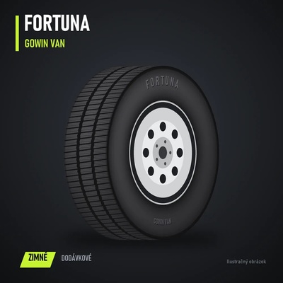 Fortuna Gowin VAN 195/70 R15 104/102R