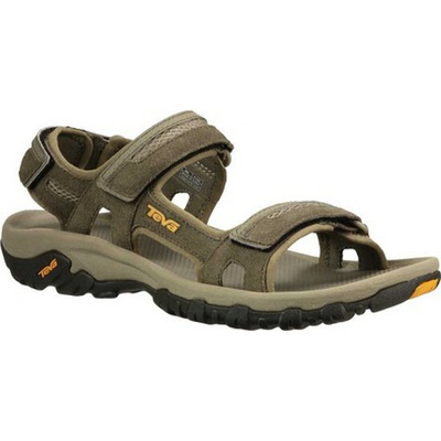 Teva Hudson M 1002433 BNGC