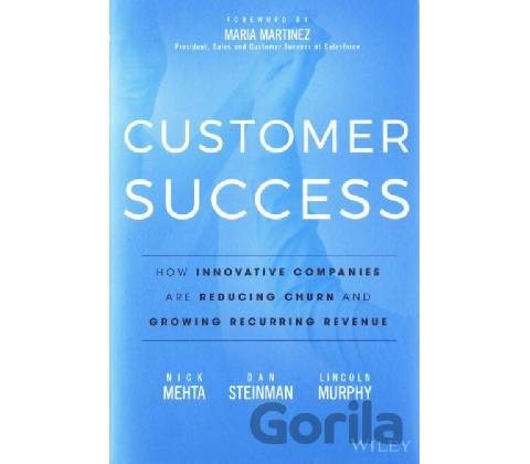 Customer Success Steinman Dan