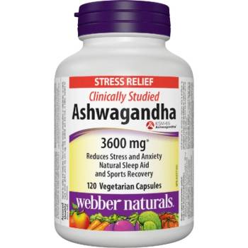 Image 1 of Webber Naturals Ashwaganda 300 mg [120 капсули]