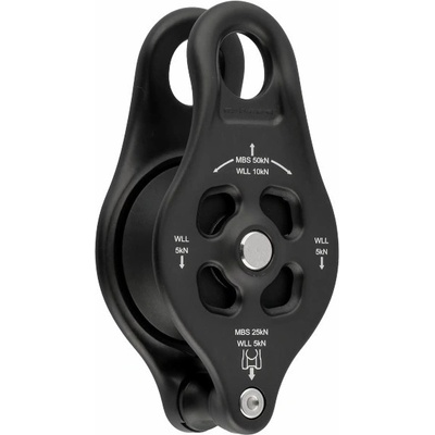 DMM Pinto Rig 2
