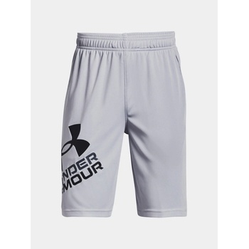 Under Armour Prototype 2.0 logo shorts
